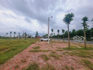 bán đất, quang minh, mê linh, 115m, giá đầu tư, 