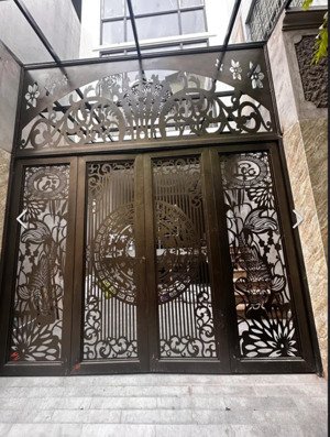 cần bán căn nhà 5 tầng thang máy cách phố trần khát chân 30m- xây mới -view đẹp -kinh doanh -ô tô