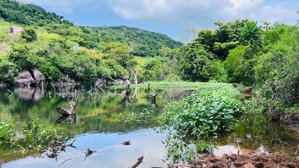 bán đất tại vĩnh hải, ninh hải, ninh thuận, giá tốt 1 tỷ, 1000m2