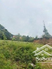 lô đất tuyệt đẹp tại đồi thiên an