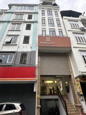 siêu rẻ! bán nhà mặt phố cảm hội - lò đúc - 50m2 mt 4m- kinh doanh sầm uất - giá đầu tư - cực hiếm!