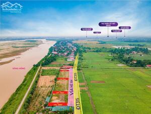 ĐẤT NỀN ĐẤU GIÁ FULL THỔ CƯ XÃ HIỀN QUANG, PHÚ THỌ – MẶT ĐƯỜNG TỈNH LỘ 315