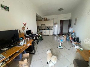 cần bán gấp căn hộ conic garden bình chánh dt 47 m2 , 1 phòng ,1wc
giao thông thuận tiện di