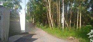 bán đất 3mt thủy bằng ngay đồi thiên an hồ thủy tiên