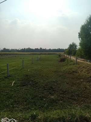 tôi chính chủ cần bán đất đức huệ long an