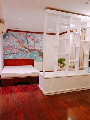 share phòng master trong chung cư hagl2 phường tân hưng- q7 cũ- giá 4,5tr