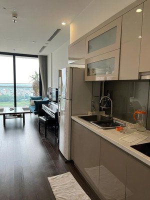 cho thuê căn hộ vinhomes symphony long biên-60m 2n2wc tầng trung-full nội thất cao cấp-giá 13 triệu