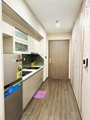 cho thuê ch 2pn full nội thất tại vinhomes symphony riverside, 12 triệu/th, 50m2