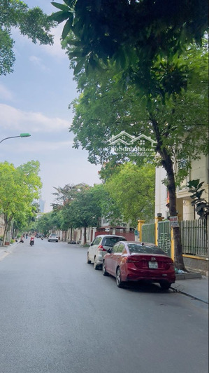 bán biệt thự làng việt kiều châu âu đường nguyễn văn lộc mỗ lao hà đông dt 200m2x3 tầng giá 47.9 tỷ