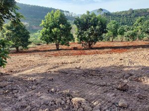 đất ven đà lạt tại gia lâm, lâm hà, lâm đồng, 650 triệu, 202 m2 sổ hồng riêng