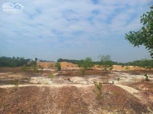 Bán đất xây dựng xưởng 29,700m2 KCN Long Thành, Huyện Long Thành, Đồng Nai