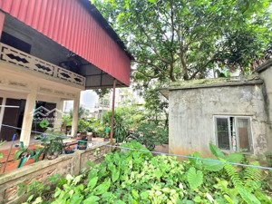 467m2 siêu hiếm ngô gia tự, long biên giá chỉ 57.5 tỷ