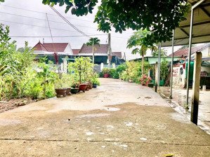 bán đất giá rẻ tại diên lạc chỉ 730 triệu