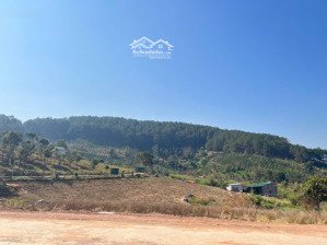 lô góc 320m2 - 790tr ở xã nam ban, được ôm quanh bởi dãy đồi thông thơ mộng