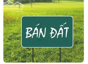 CẦN BÁN LÔ ĐẤT KHỐI PHỐ XUÂN NAM, PHƯỜNG TAM KỲ, THÀNH PHỐ ĐÀ NẴNG GÍA SẬP SÀNG