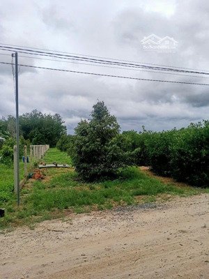 bán lô đất thành phố có thổ cư trên đất có vườn cây ăn trái