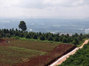 490 triệu đất đẹp lâm hà | view săn mây cách chợ tân hà 3km