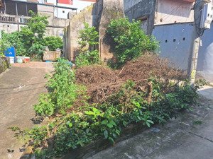 lô góc 3 mặt thoáng ôtô thông, sát hồ điều hòa 80m2 đất tam thuấn, phúc thọ, hà nội. lh: 