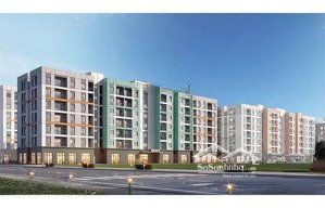 tư vấn dự án nhà ở xã hội happy home, chuẩn vinhomes đầu tiên tại hải phòng vinhome tràng cát