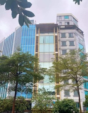 47 tỷ nhỉnh có toà nhà đẳng cấp nhất phố xã đàn 115m2 mt 5m 11 tầng k. doanh, dòng tiền 120tr/th