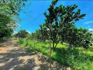 vườn trái cây có sẵn thổ cư tại minh thạnh-tphcm.