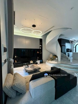 cho thuê gấp căn biệt thự song lập tại phân khu san sô, có thang máy, hoàn thiện cơ bản.