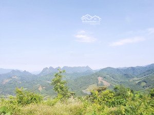 bán 2ha đất rừng sản xuất view đẹp giá rẻ, phù hợp làm nghỉ dưỡng, làm trại gà