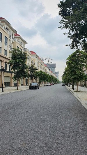 shophouse 2 mt (đường 20m & 13m), mt 8m, 136m2, 23,6 tỷ, trục đường chính, thông, san hô, vin ocp 2