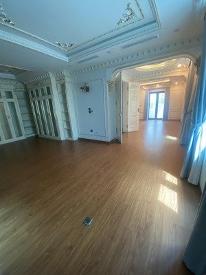 cho thuê biệt thự sang trọng hiện đại có hầm kđt vimeco nguyễn chánh. 180m2 4 nổi 1 hầm. giá 40 tr