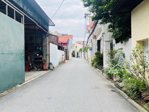 mặt ngõ kinh doanh sầm uất như phố - ô tô tránh - ngõ thông - trung tâm ngọc lâm.