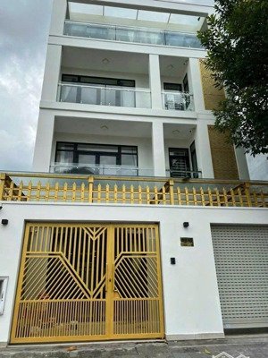 cho thuê nguyên căn khu dân cư everrich 3 số 23 đường phú thuận q7