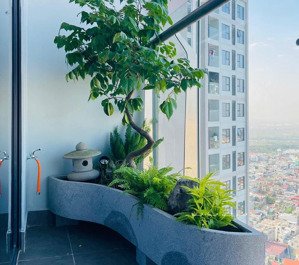 hot tặng thêm vàng chỉ trong 10 ngày - khi mua rose residence ! em ngọc 