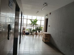 cho thuê nhanh căn hộ cao ốc thạch mỹ lợi