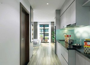 chính chủ cho thuê căn hộ 2 phòng ngủ 2wc + 1 nội thất full, phân khu mới sa, smart city