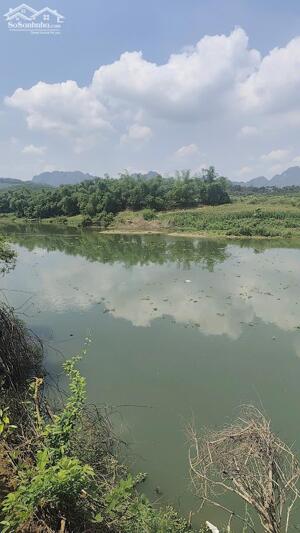 CHỦ GỬI BÁN 2261M2 BÁM ĐƯỜNG NHỰA, BÁM SÔNG BÔI CỰC ĐẸP GIÁ HƠN TR/M2