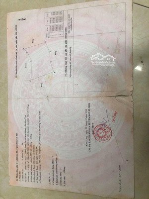 bán trang trại đẹp tại thị trấn măng đen, 1,5 tỷ, 5800 m2, bám quốc lộ 24