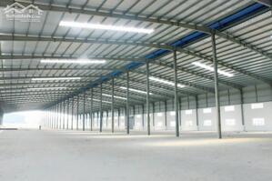 Cho Thuê Nhà Xưởng 2.400m2 Giá Chỉ 270 Triệu/tháng. Kcn Nhơn Trạch - đồng Nai