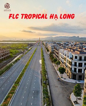 quỹ hàng vị trí đẹp giá siêu tốt. flc tropical ha long. trục 31m giá chỉ 23,5tr. lh 