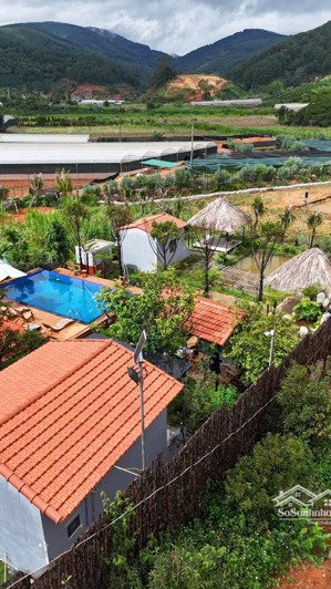 sở hữu nhanh tay khu nghỉ dưỡng giá tốt tại tà nung - phường cam ly - đà lạt