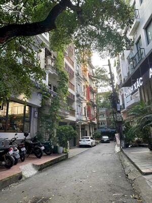 Bán nhà Võ Văn Dũng, 50m2*2T, Gara ô tô, kinh doanh, ô tô dừng đỗ chạy vòng quanh, 15 tỷ