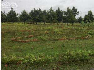 Bán đất mặt tiền đường nhánh Số 3 Hòa Long, TP Bà Rịa