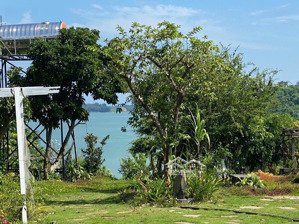 cho thuê đất mặt hồ trị an, giáp hồ trị an, đức mẹ núi cúi