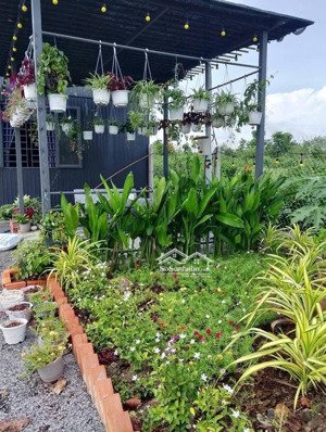 bán đất vườn nghỉ dưỡng tại phú tân, định quán, đồng nai, diện tích 5200 m2
