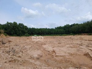bán đất hòa lợi, bến cát, bình dương, 144 tỷ, 16000m2, đẹp, nhiều tiện ích