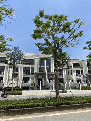 bán liền kề hd mon 84m2, mt 6m, 5 tầng, giá 41 tỷ