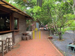 cho thuê mặt bằng khu thảo điền - sân vườn giá 30 triệu