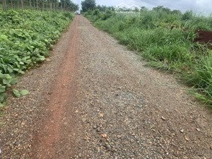 bán lô đất giá rẻ xã tân lợi, gần trung tâm bình long thích hợp làm nhà vườn