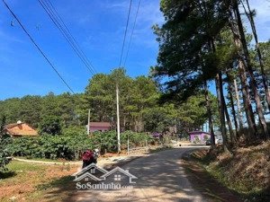 chính chủ kẹt bank, bán nhanh lô đất 150m2 tại mê linh, giá 560 triệu