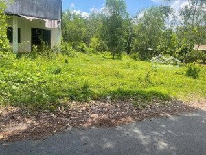 bán đất đẹp tại định hiệp, dầu tiếng, bình dương, 350 triệu, 500 m2