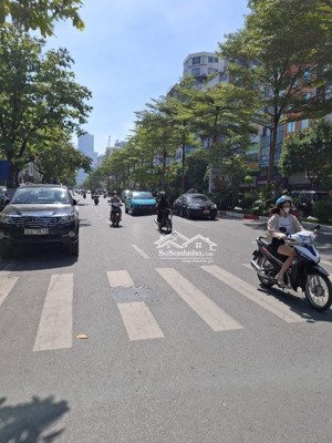 bán nhà trần thái tông - ô tô vào nhà - cách ô tô tránh 20m - kinh doanh - 2 thoáng - dt42m2 x 5t